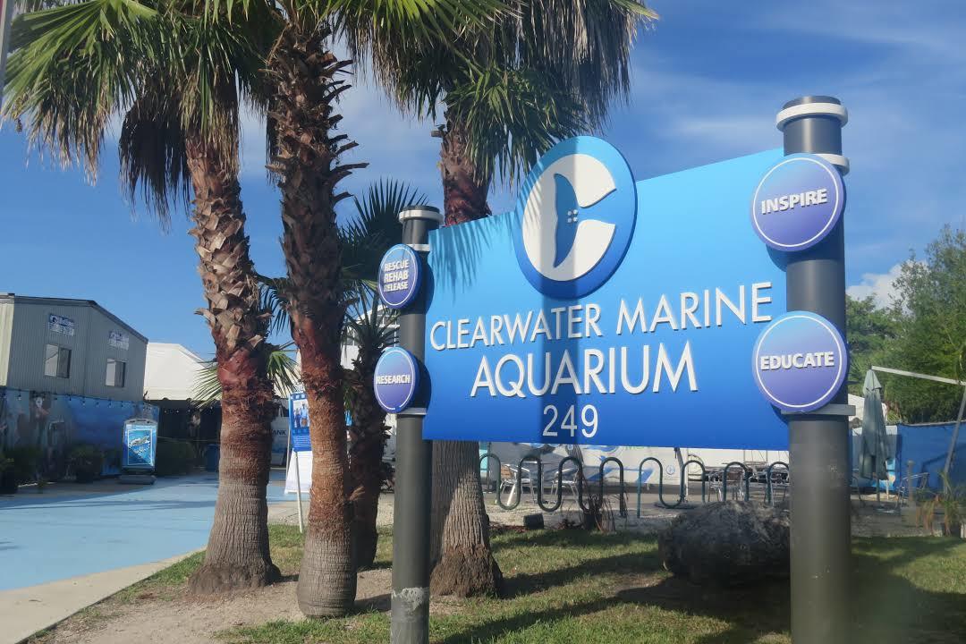 Aquarium Clearwater Marine